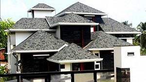 Shingles Maintainance